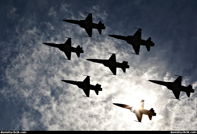 8-ship formation of F-5 Tigers