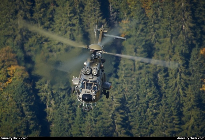 Super Puma above the forest