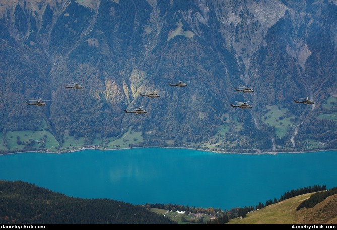 Formation of Super Puma helicopters