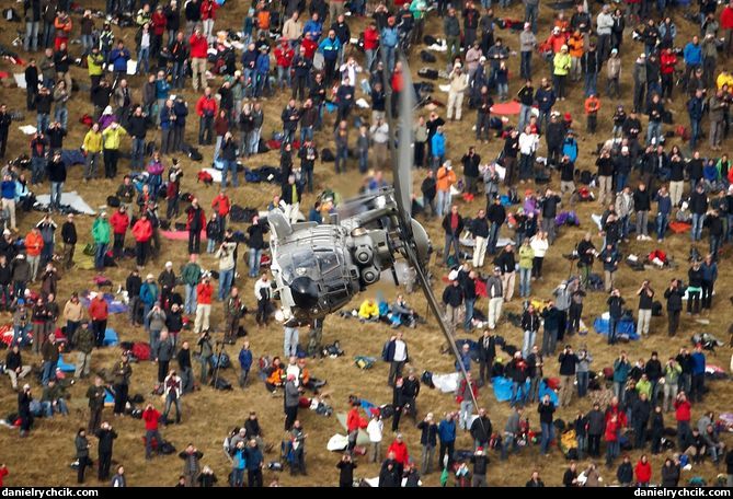 Cougar demo above Axalp public