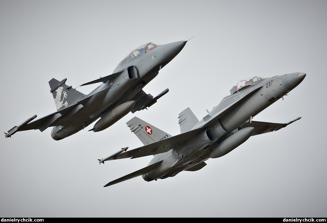 F/A-18C Hornet and JAS-39F Gripen formation