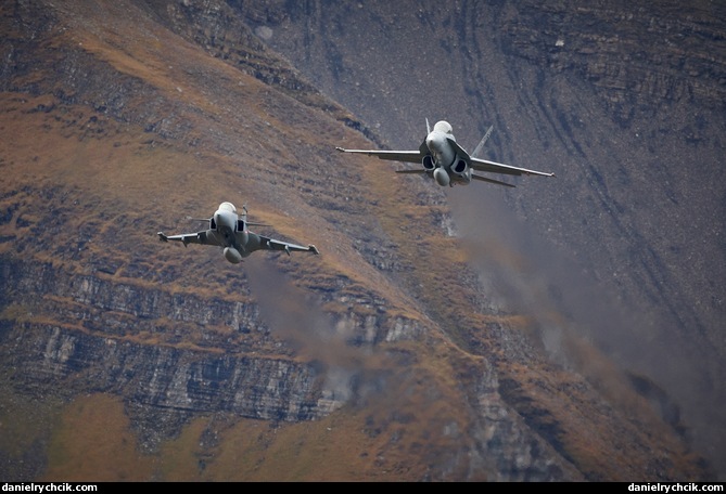 F/A-18C Hornet and JAS-39F Gripen formation