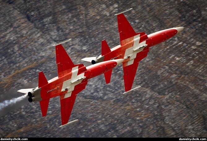 Two Tigers of Patrouille Suisse