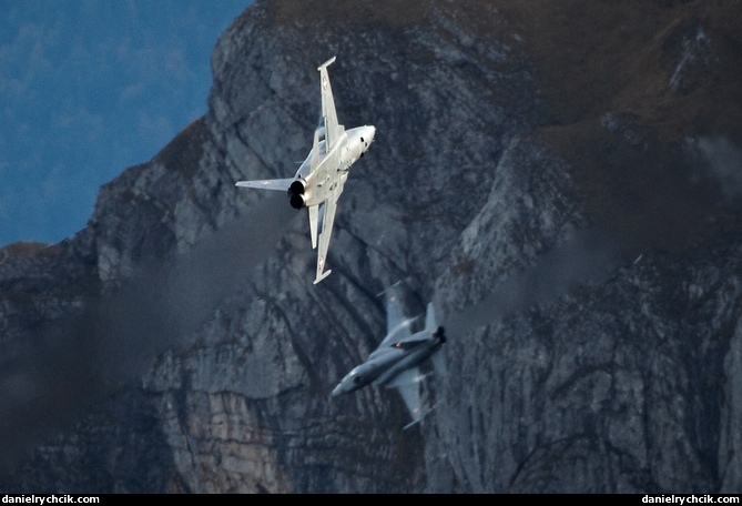 Two F-5E Tigers