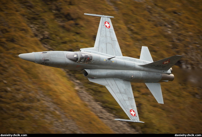 Northrop F-5E Tiger