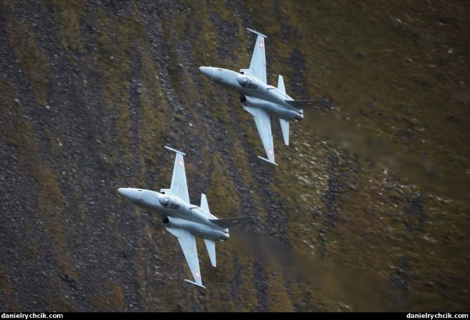 Northrop F-5E Tiger