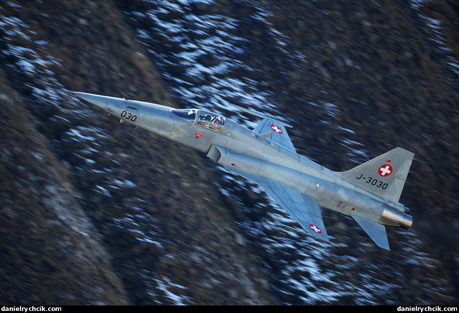 Northrop F-5E Tiger