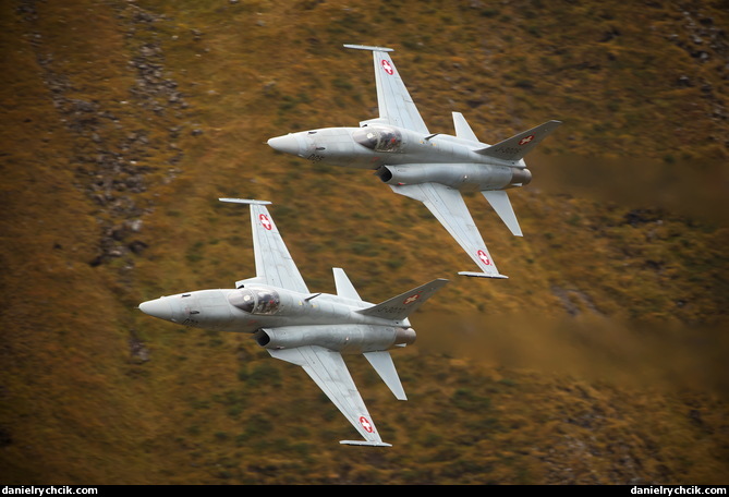 Northrop F-5E Tiger