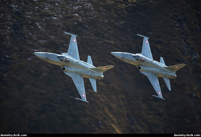 Northrop F-5E Tiger