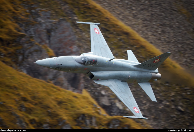 Northrop F-5E Tiger