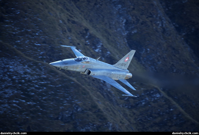 Northrop F-5E Tiger