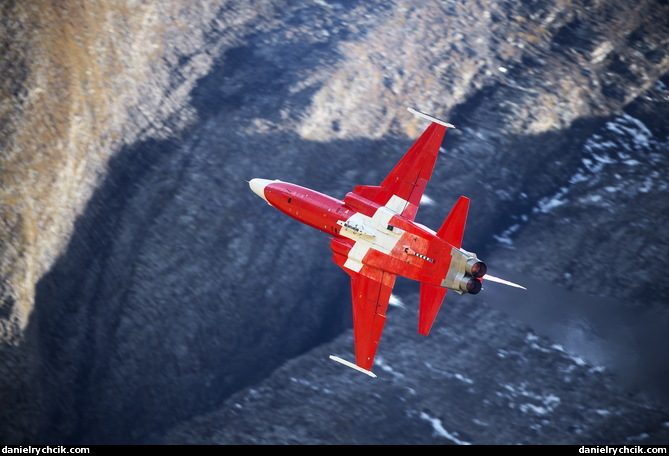 Northrop F-5E Tiger (Patrouille Suisse)