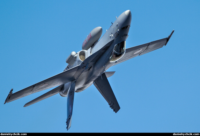 McDonnell Douglas F/A-18C Hornet (Swiss Air Force)