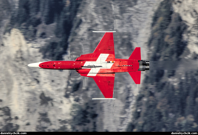 Northrop F-5E Tiger (Patrouille Suisse)