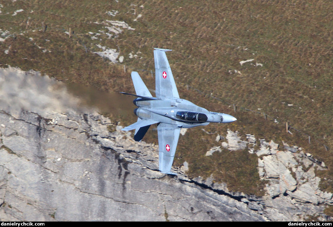 McDonnell Douglas F/A-18D Hornet (Swiss Air Force)