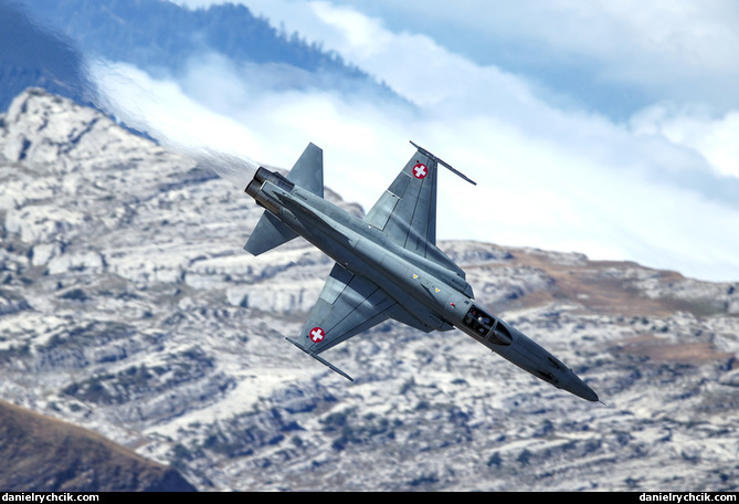 Northrop F-5E Tiger II (Swiss Air Force)