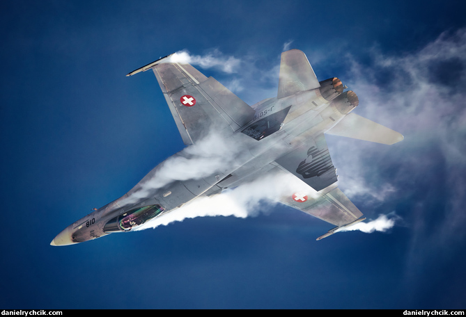 Swiss Hornet Solo Display