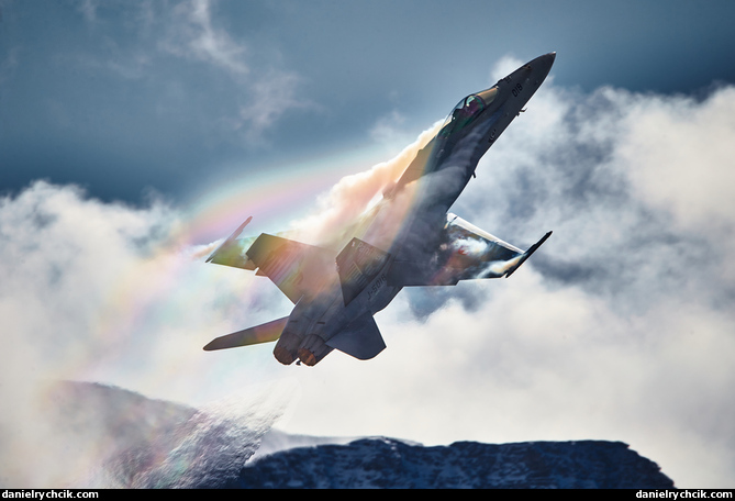 Swiss Hornet Solo Display