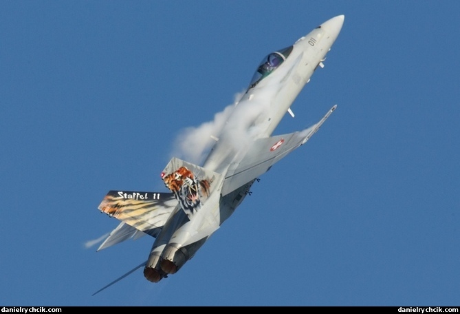 McDonnell Douglas F/A-18C Hornet