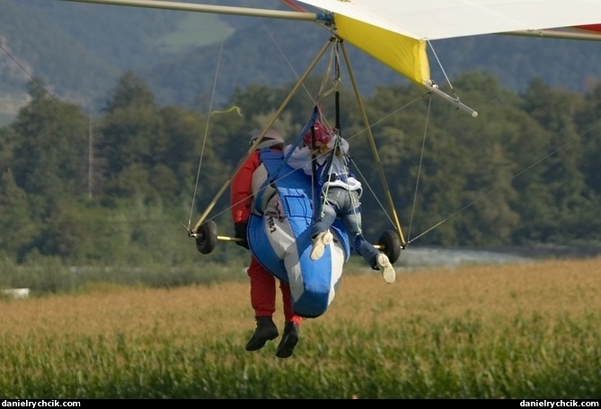 Paraglider