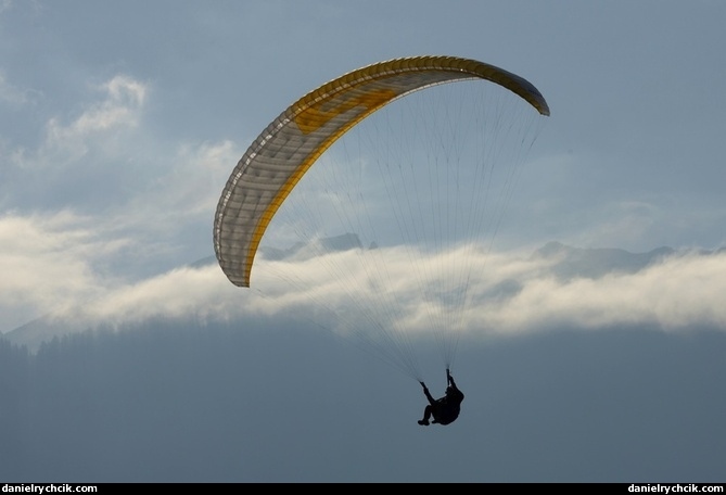 Paraglider