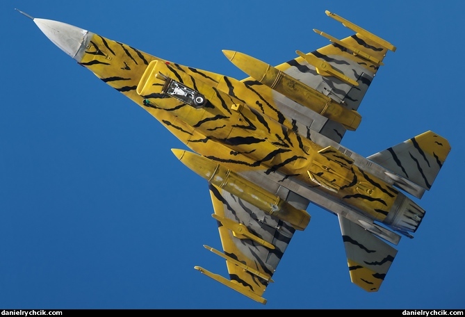 Lockheed-Martin F-16C (Tiger Meet)