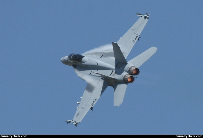 F/A-18F Super Hornet (US Navy)