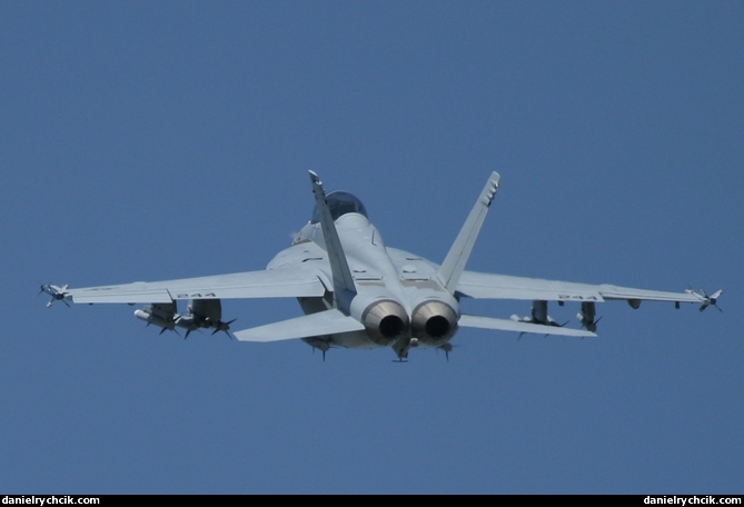 F/A-18F Super Hornet (US Navy)