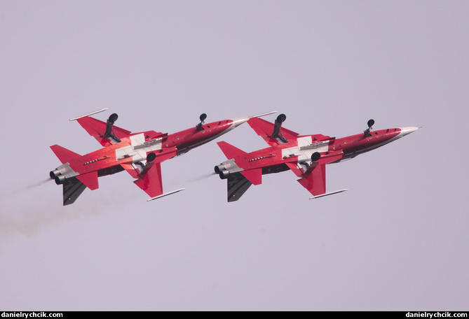 Patrouille Suisse - gear-up roll