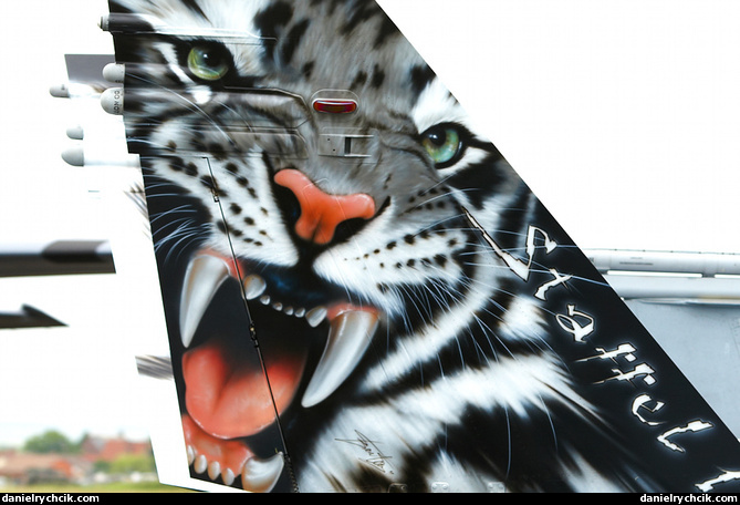 Tiger tail - Swiss F/A-18 Hornet