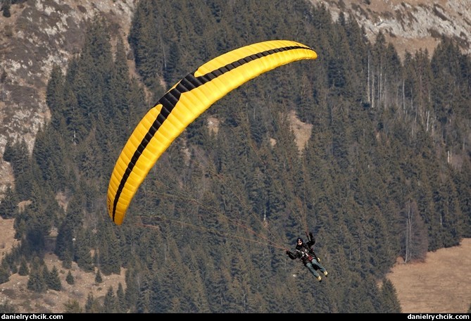 Paraglider