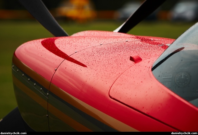 Royal Jordanian Falcons