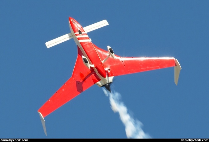 Rutan-33 VariEze (Patrouille REVA)