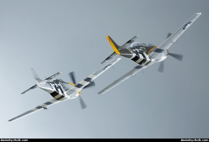 2x North American P-51 Mustang