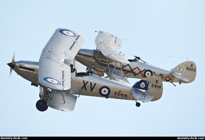 Hawker Demon and Hind in formation