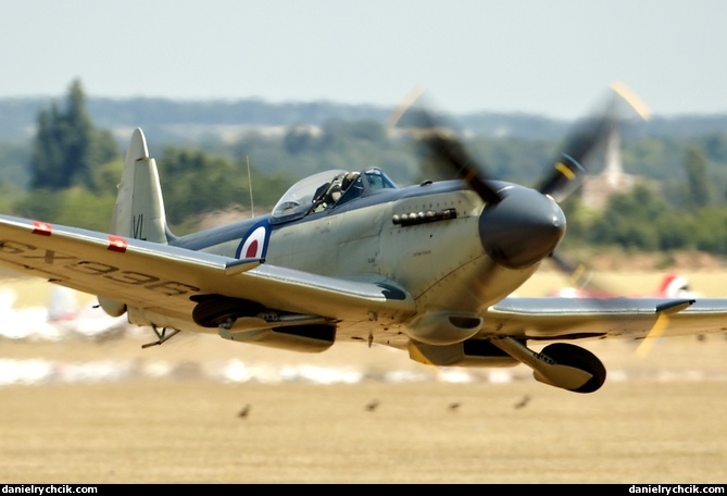 Supermarine Seafire Mk.XVII