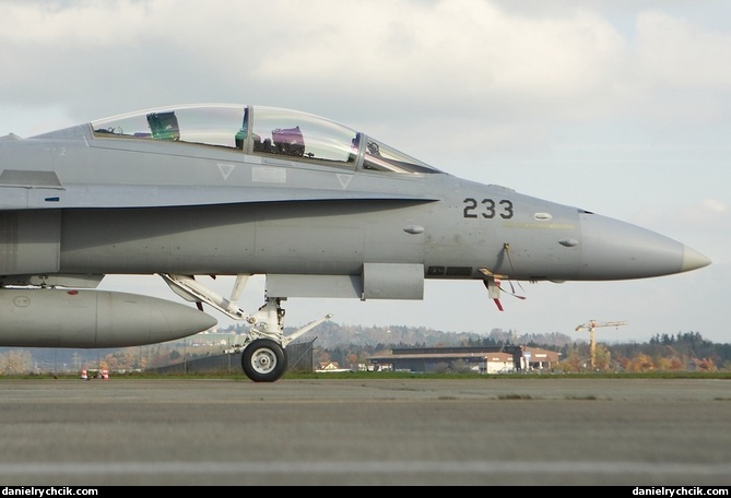 F/A-18D Hornet