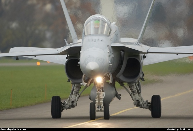 F/A-18D Hornet