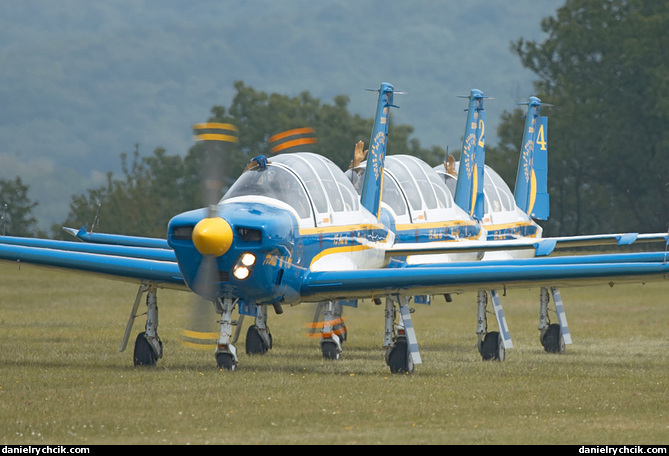 Cartouche Dore (Socata TB-30 Epsilon)