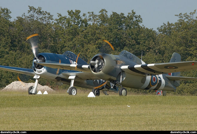 Hellcat and Wildcat