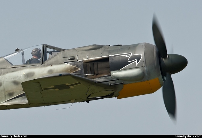 Focke-Wulf Fw-190 A8/N