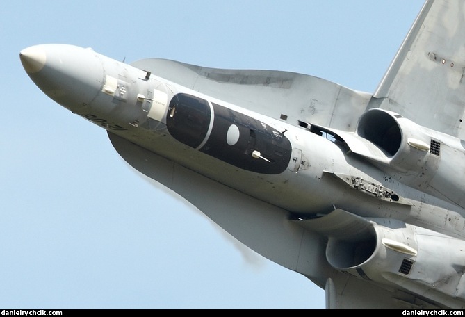 F/A-18C Hornet solo display (Spanish Air Force)