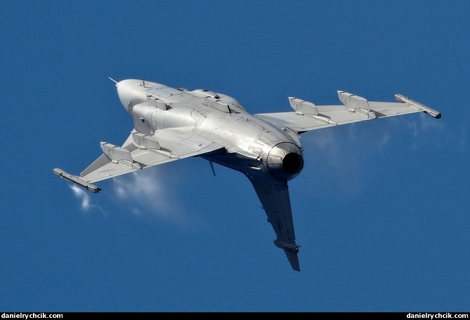 Hungarian JAS-39C Gripen solo display