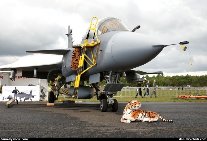 Hungarian JAS-39C Gripen on static display