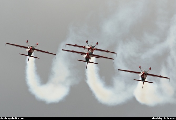 Jordanian Falcons