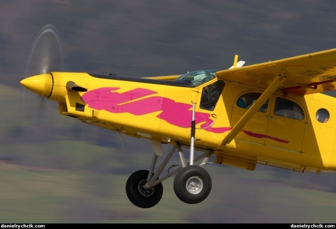 Pilatus PC-6 Turbo Porter