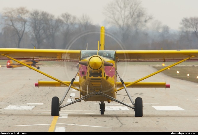 Pilatus PC-6 Turbo Porter