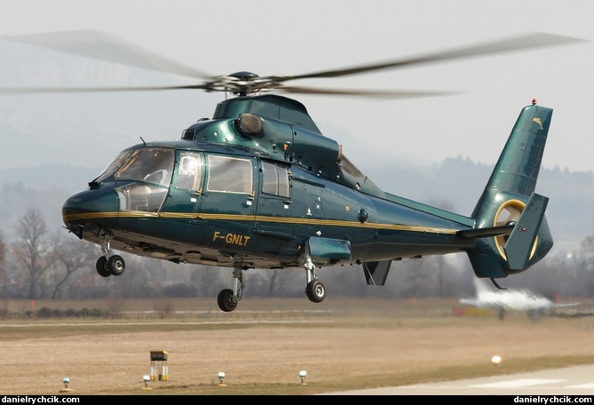 Eurocopter EC-365 Dauphin