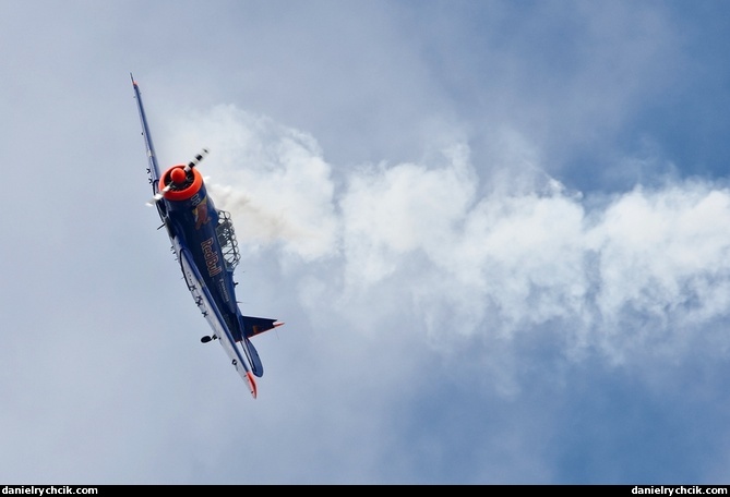 North American T-6 Texan (Toni Eichhorn)