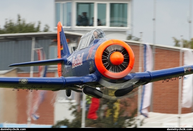 North American T-6 Texan (Toni Eichhorn)